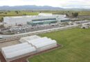 Inaugura Salsas Tajín su nueva planta y centro de investigación y campo experimental en Jalisco