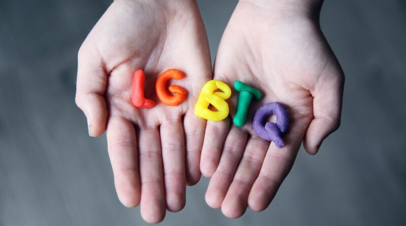 Día Nacional de la Lucha contra la Homofobia, Lesbofobia, Transfobia y Bifobia