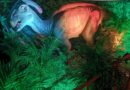 Últimos días de la exhibición de Dinosaurios animatronics de Latinoamérica